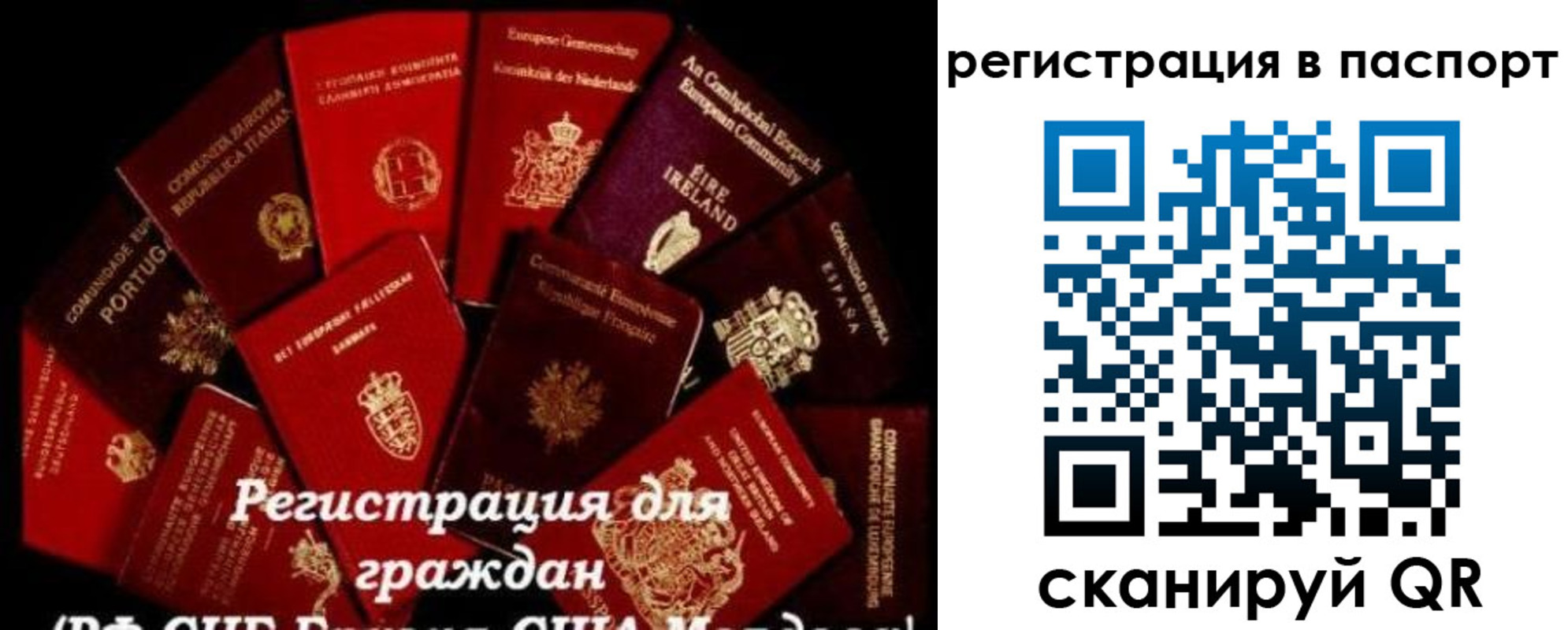 миграционный учет в Ершове